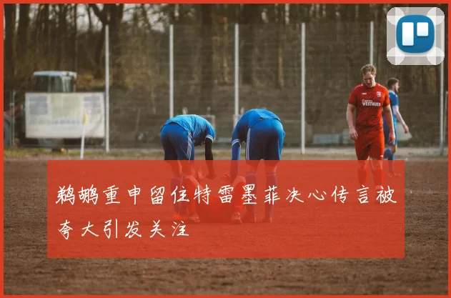 鹈鹕重申留住特雷墨菲决心传言被夸大引发关注